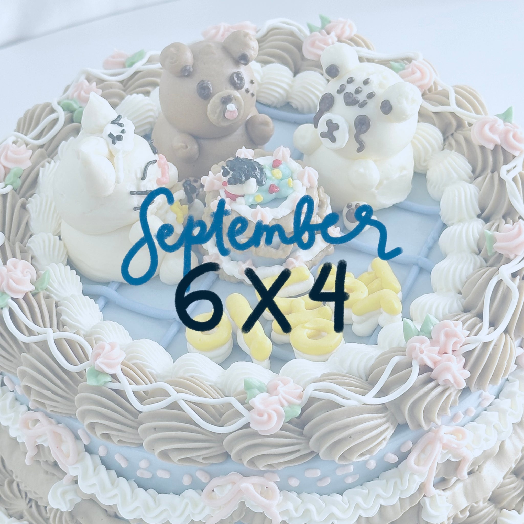 6 X 4 Kaibakes Cake (SEPTEMBER 2024)